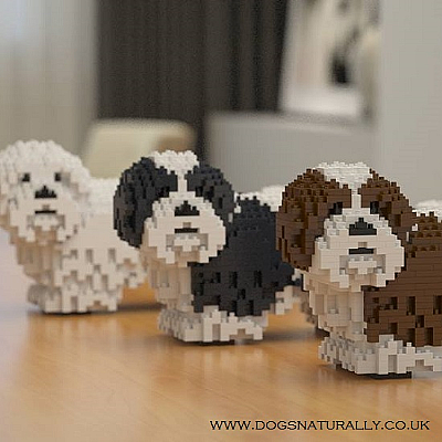 Shih Tzu Jekca Available in 5 Colours & 3 Sizes